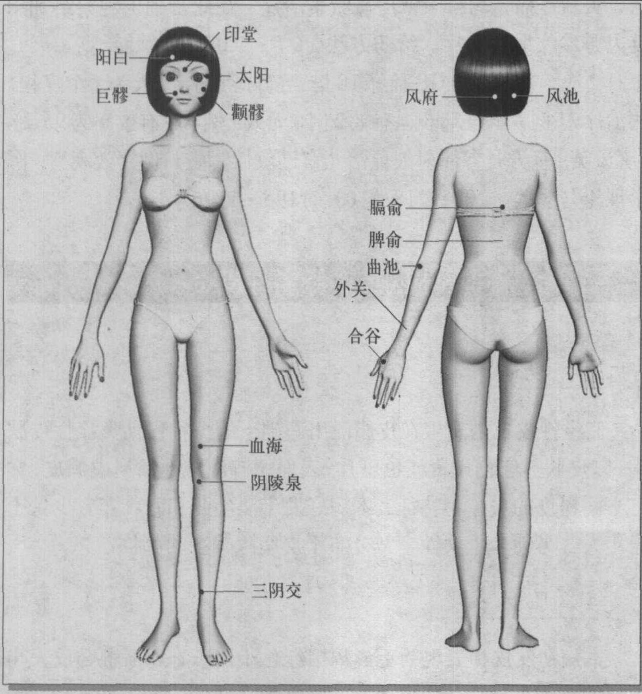 第十四節(jié) 脂溢性皮炎